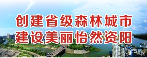 操骚逼视频网创建省级森林城市 建设美丽怡然资阳